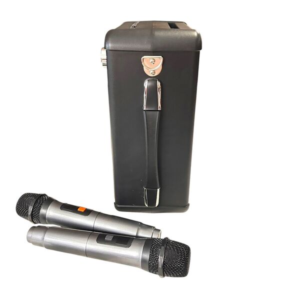 Karaoke Machine, Portable Bluetooth Karaoke Speaker with 2 Wireless Microphones - Picture 6 of 16